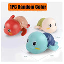  1PC Turtle Random