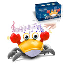  Crab-Orange With Box