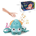  Octopus-Blue With Box